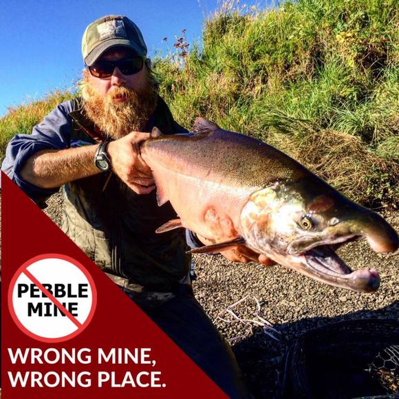 Meet your Posher, Luke - Picture 1 of 1